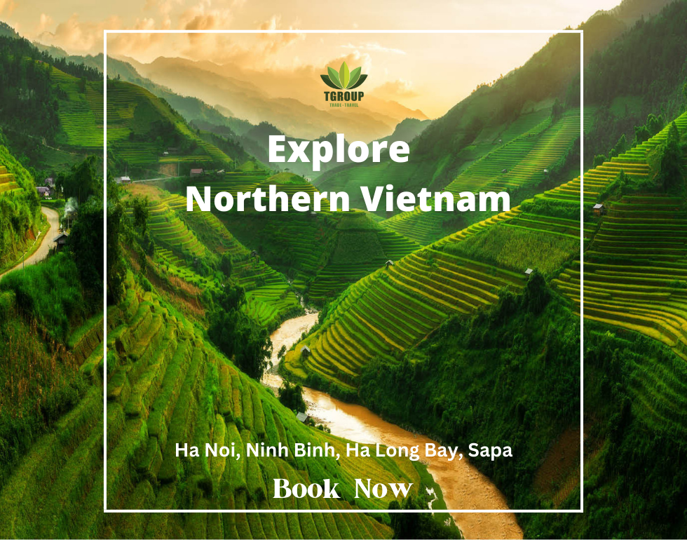 Discovering Northern Vietnam Ha Noi Ninh Binh Ha Long Bay Sa Pa