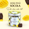 Chocolate-Coated Mango — 65% Dark