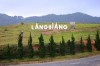 LangBiang Mountain Ticket