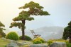 QUE garden, Da Lat