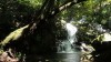 Thien Thai Waterfall / Chappi Mountains Coffee Tour