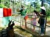 ZooDoo Dalat Tickets
