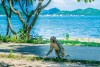 Monkey Island (Dao Khi &ndash; Hon Lao) Nha Trang