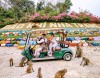 Monkey Island (Dao Khi &ndash; Hon Lao) Nha Trang