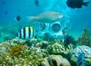 Vinh San Ho & Tranh Beach Daily Tour in Nha Trang