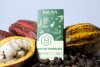 Bean to Bar — Strawberry Chocolate