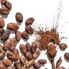 BALAVA Pure Cocoa Powder — Non-Alkalized, 22–25% Cocoa Butter