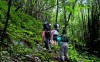 Trekking - Jungle Jek