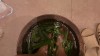 Fiona Spa Phu Quoc