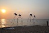 Phu Quoc island sunset cruise and squid fishing experience
