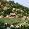 Quy Nhơn day tour: Quang Trung museum, Ham Ho ecotourism, Banh it tower