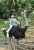 Dalat Elephant Riding Tour - Da lat Zoo - Phu An Cafe