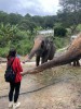Dalat Elephant Riding Tour - Da lat Zoo - Phu An Cafe