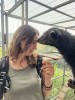 Dalat Elephant Riding Tour - Da lat Zoo - Phu An Cafe
