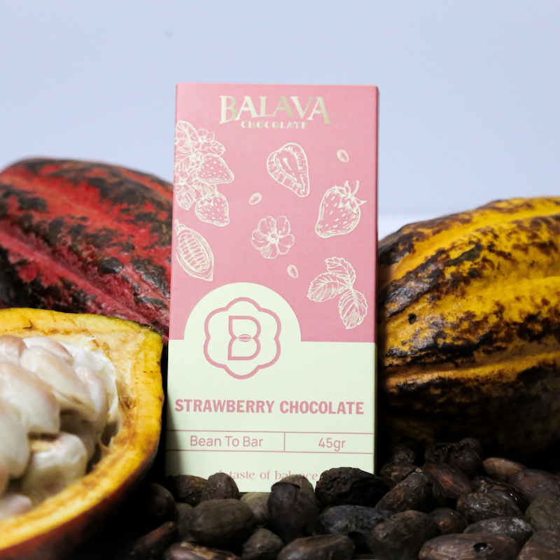 Bean to Bar — Strawberry Chocolate