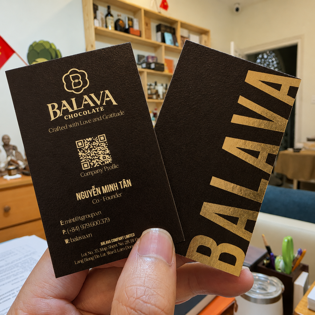 Vietnam's Fine Flavor Cacao: The Story Behind BALAVA Handmade Chocolate