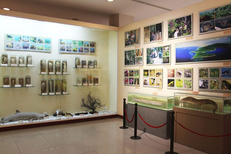 Da Nang Museum