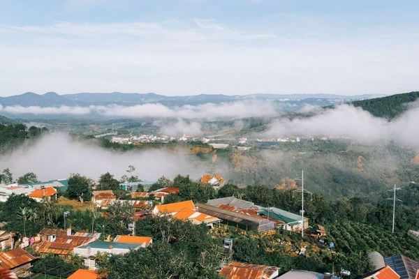 Da Lat Local Tour Guide 