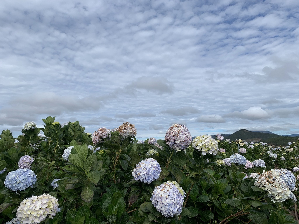 Da Lat's Zoodoo Tour