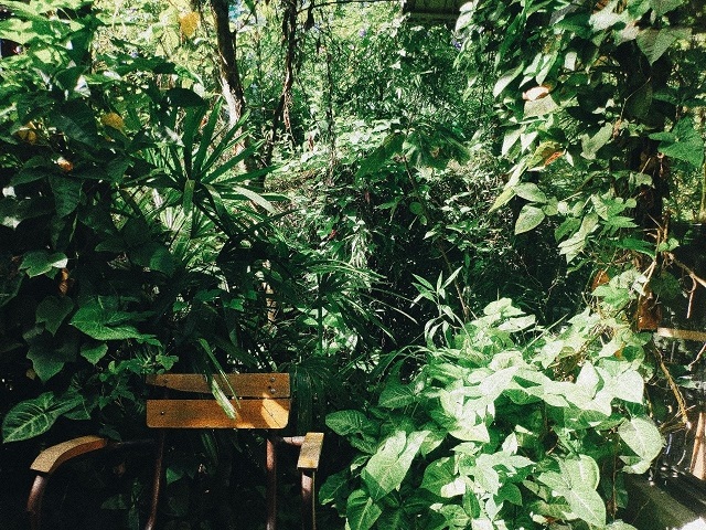 Le Chalet Dalat Coffee and Bistro