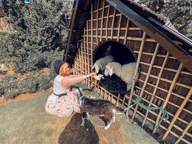 QUE garden, Da Lat