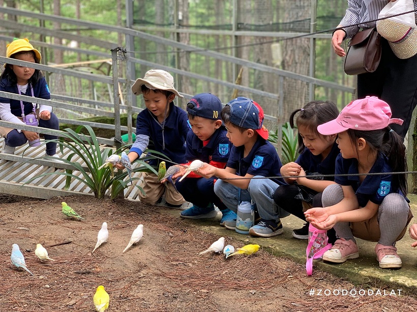 ZooDoo Dalat Tickets