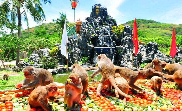 Monkey Island (Dao Khi &ndash; Hon Lao) Nha Trang
