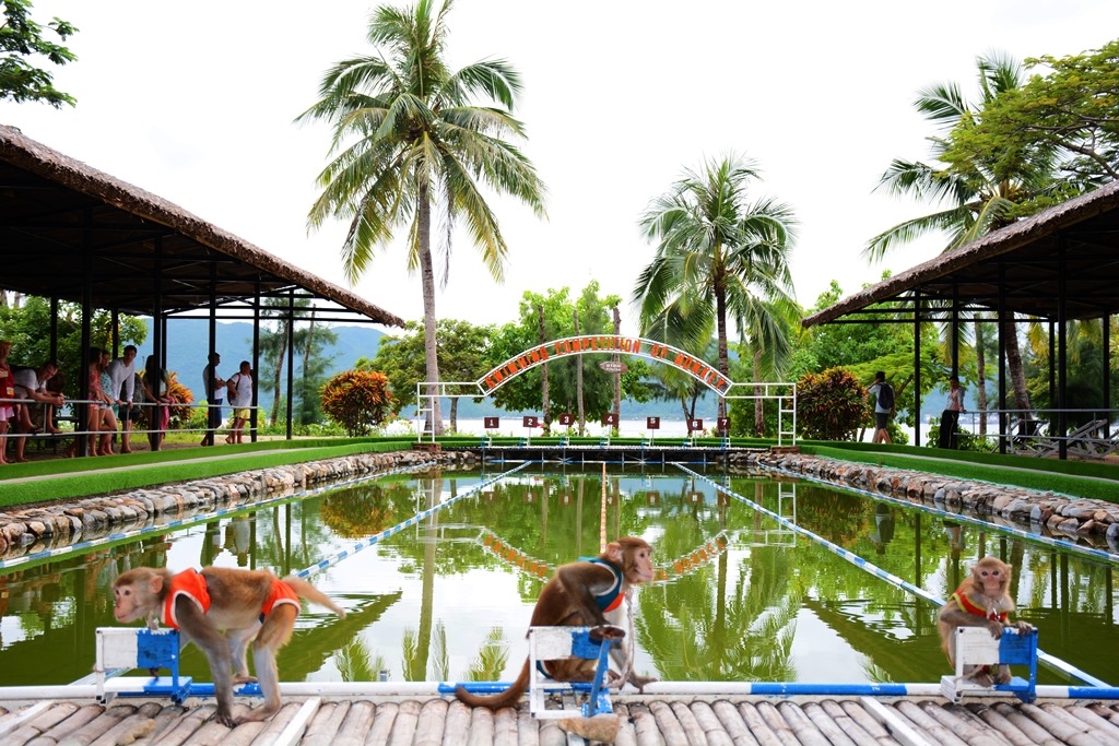 Monkey Island (Dao Khi &ndash; Hon Lao) Nha Trang