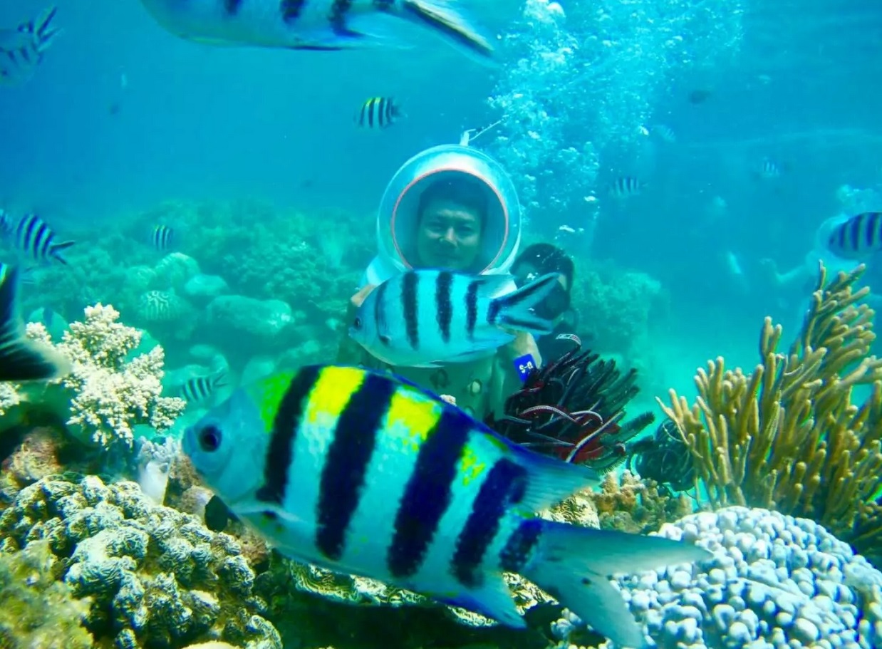 Vinh San Ho & Tranh Beach Daily Tour in Nha Trang