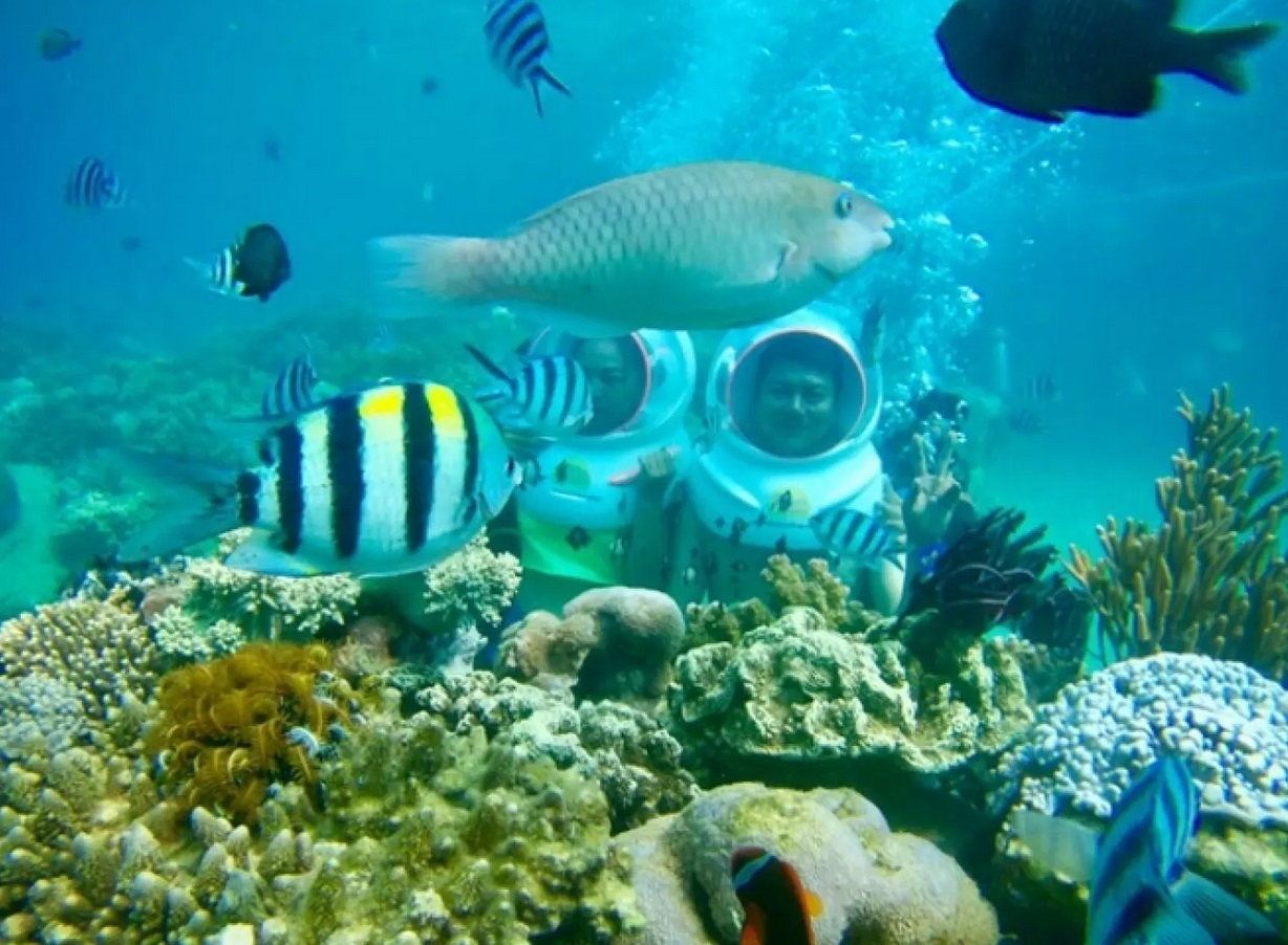 Vinh San Ho & Tranh Beach Daily Tour in Nha Trang