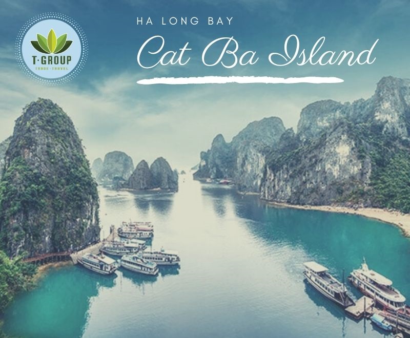 Full day Cat Ba National Park adventure Tour from Cat Ba island, Viet Nam