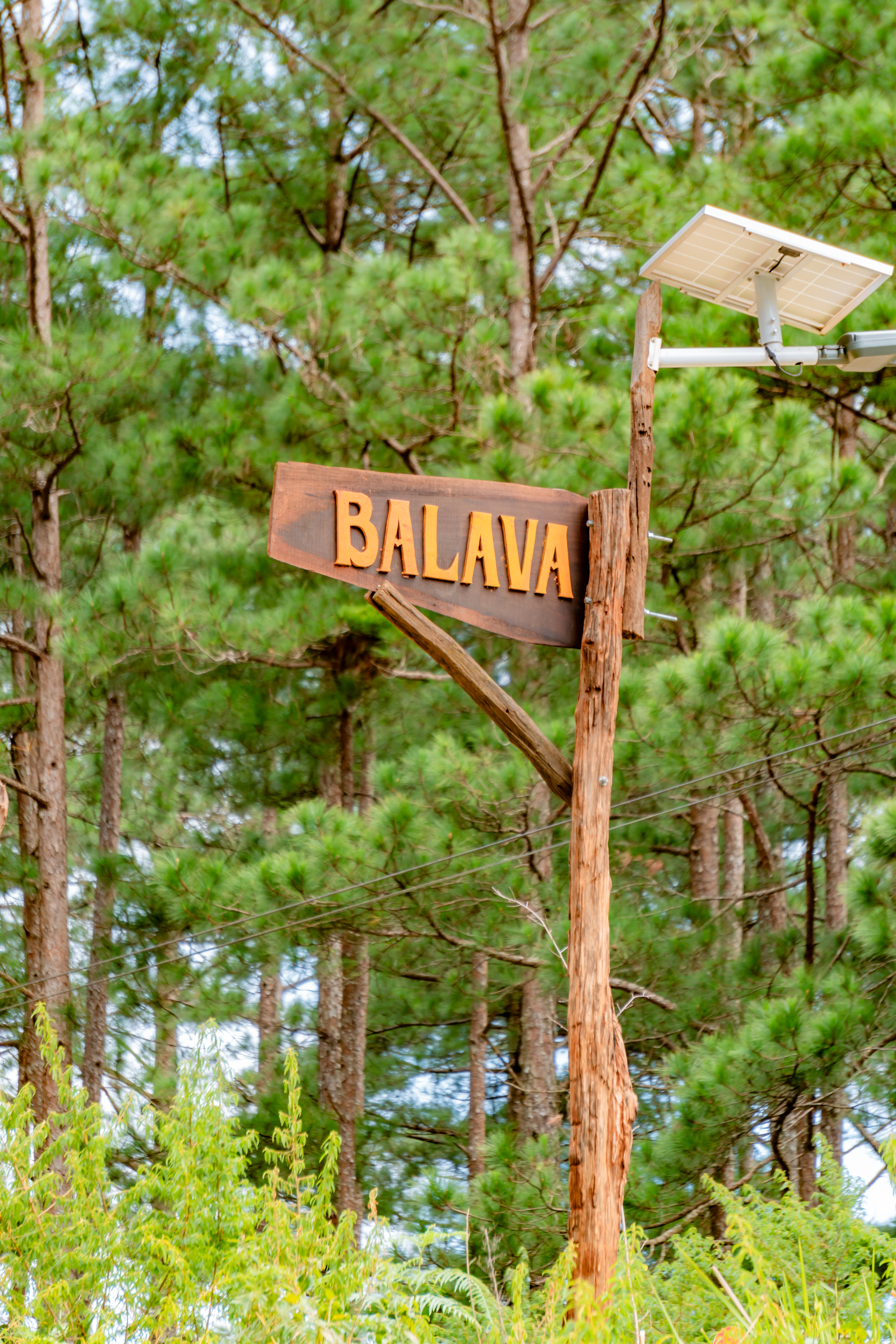 Chocolate and Pizza Workshop at Balava