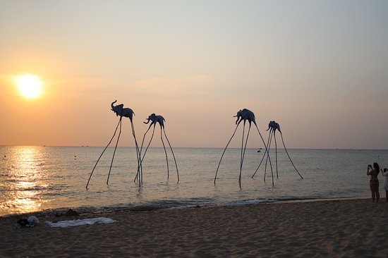 Phu Quoc island sunset cruise and squid fishing experience