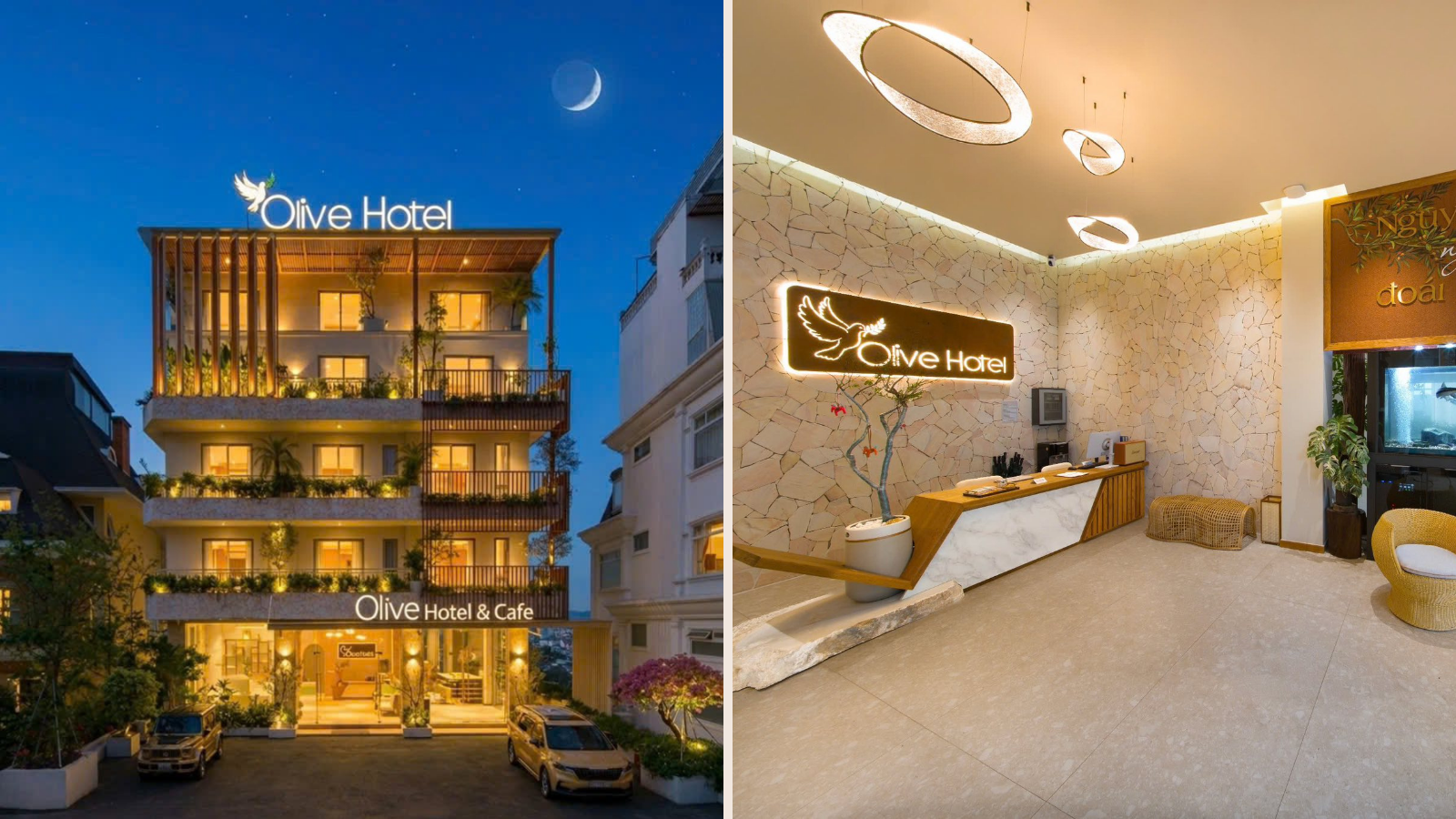 Olive Hotel Dalat Бутик-отель в сердце города туманов