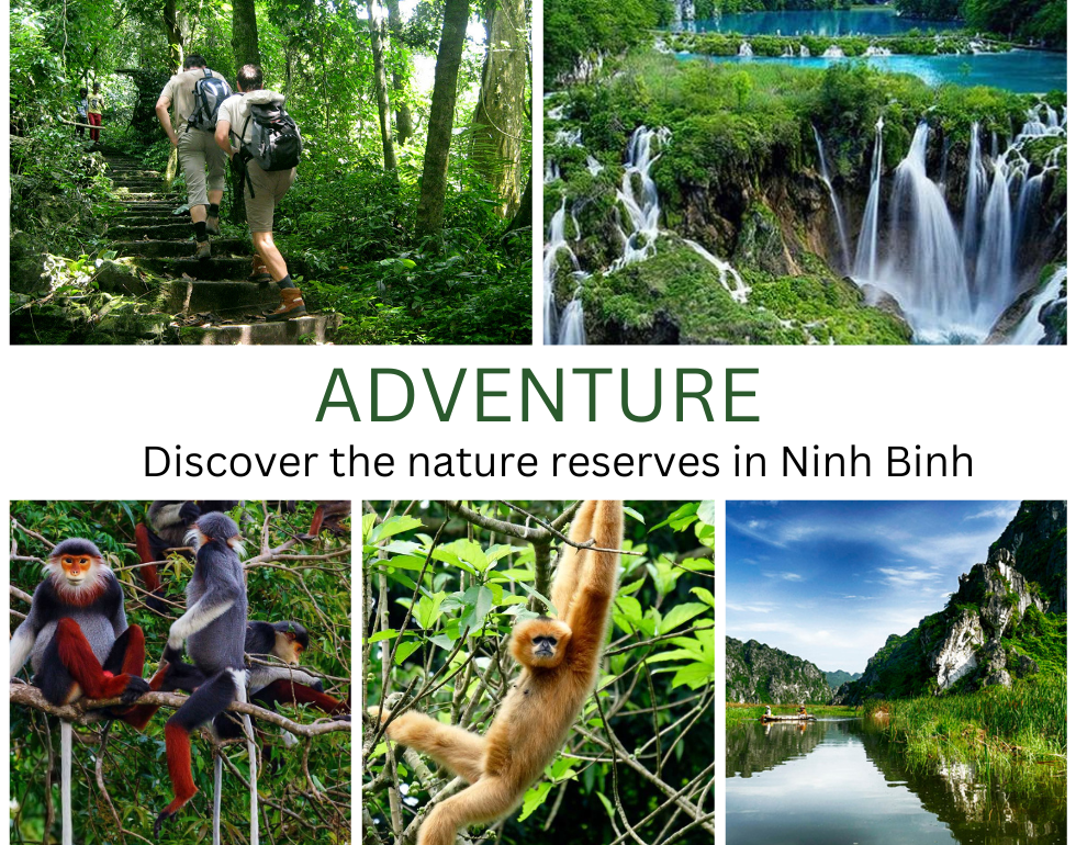 HIKING VAN LONG  WETLAND RESERVE – CUC PHUONG ONE DAY TOUR 