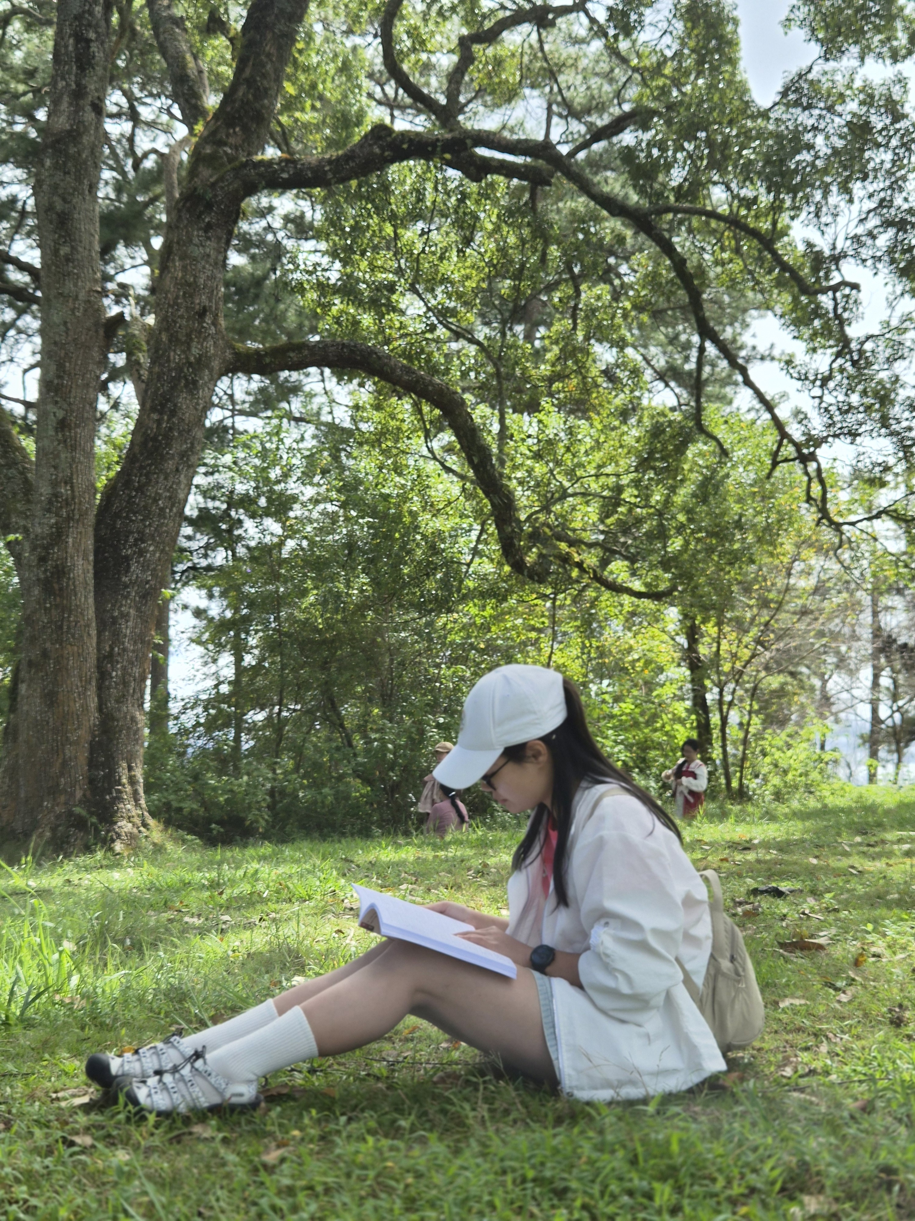 DA LAT STREET ART TOUR