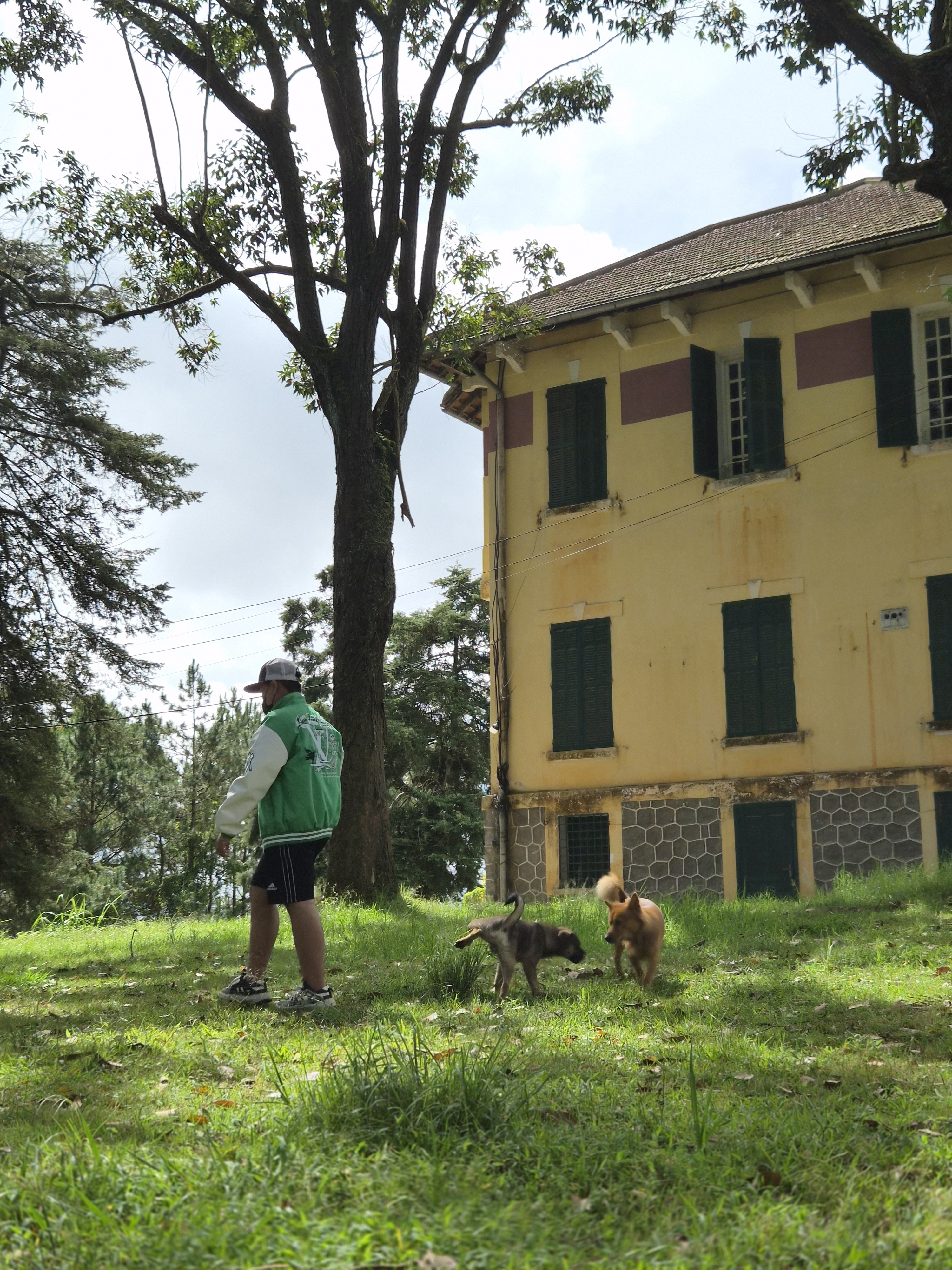 DA LAT STREET ART TOUR