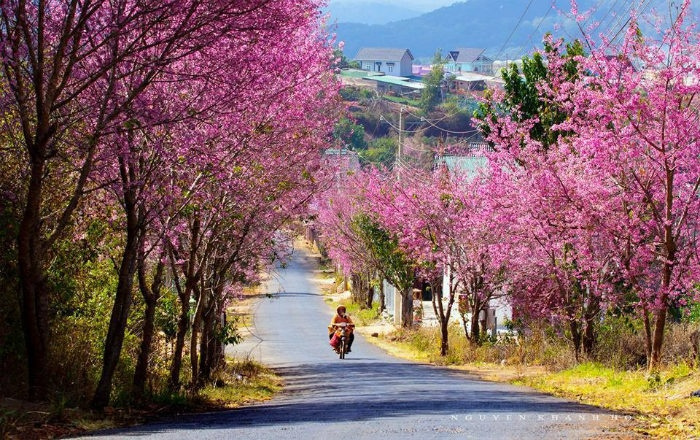 Sapa: A Charming Gem in Northwest Vietnam Sapa: A Charming Gem in Northwest Vietnam