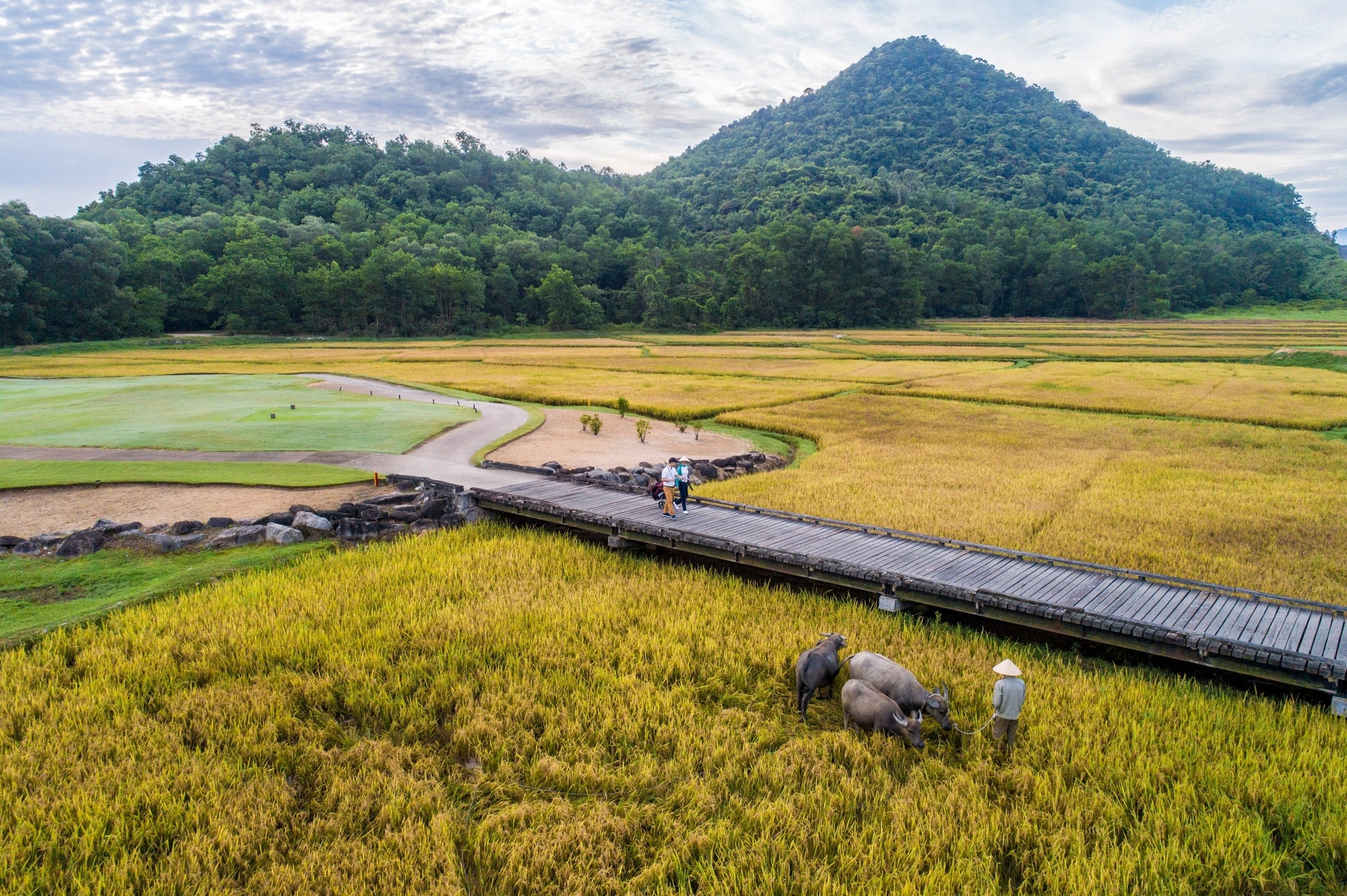 다낭골프여행 성수기에도 티타임 확보 가능한 숨은 명소 3곳 추천